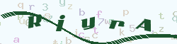 verify_code